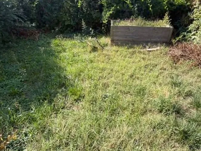 Garden before: tall, overgrown grass in front of the raised bed